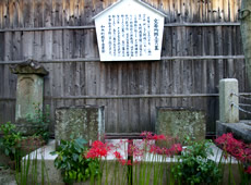 宝暦殉難三士の墓（養専寺）の画像