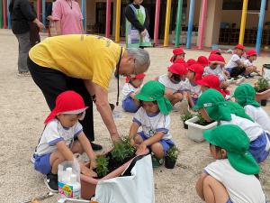 人権の花運動の画像