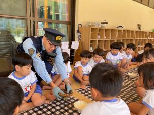 ひまわりの種取りの画像