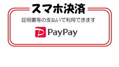 Pay Pay